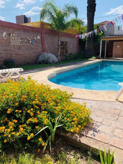 La Palmera * Dean Funes